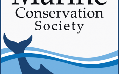 Working With Australian Marine Conservation Society