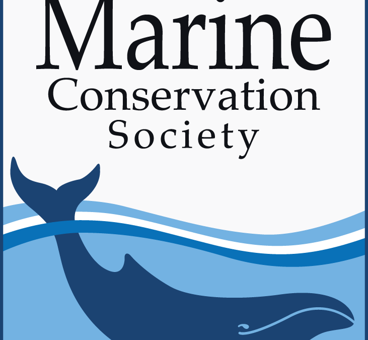 Working With Australian Marine Conservation Society